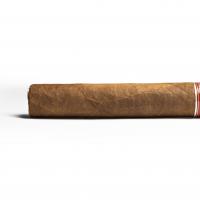 Aladino Cameroon Gordo Cigar - 1 Single